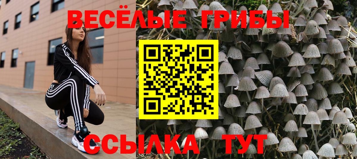 Псилоцибиновые грибы ЛСД  как найти закладки  Вход с VPN  Севастополь  Галлюциногенные грибы мухоморы 