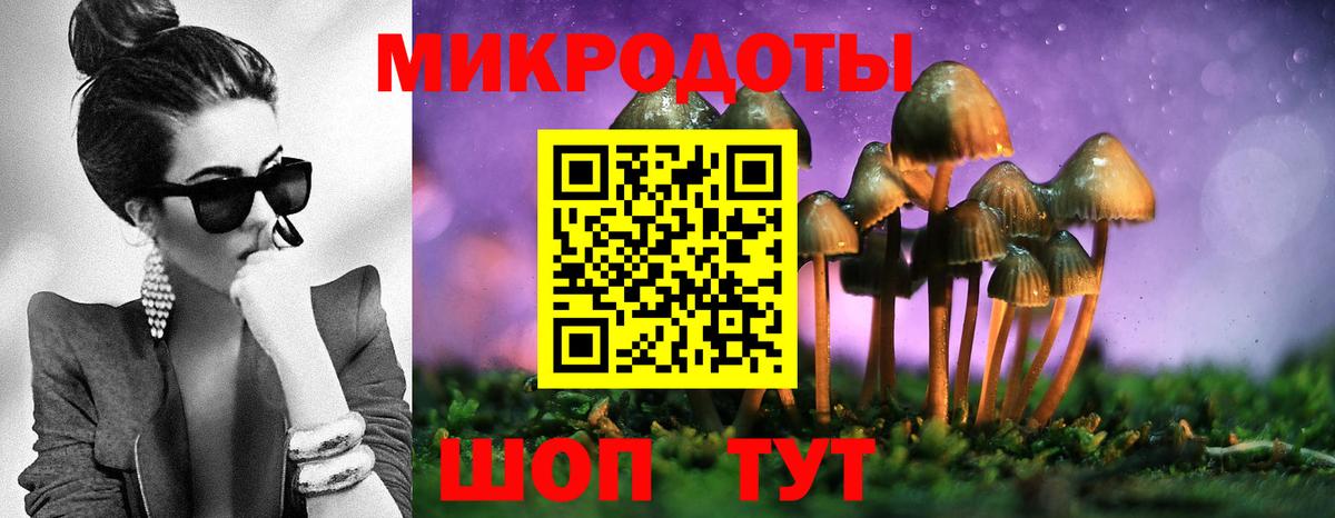 Псилоцибиновые грибы прущие грибы Севастополь